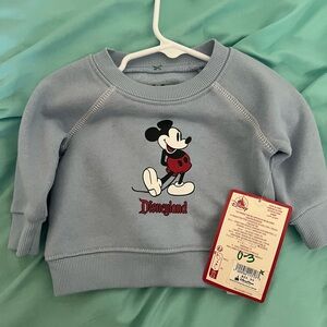 Disneyland sweater